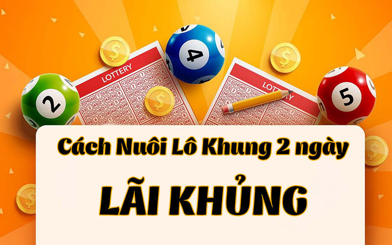 Bật Mí Cách Nuôi Khung Miền Bắc Hiệu Quả Dành Cho Tân Binh