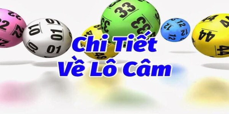 Lô Đầu 5 Câm Hôm Sau Đánh Con Gì Để Trúng Giải Độc Đắc?